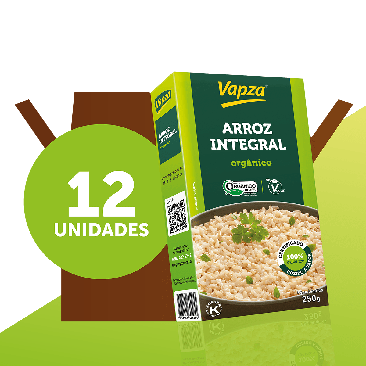 Kit 12 Arroz Integral Orgânico 250G Vapza